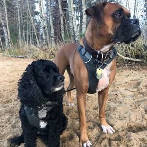 Meet your Posher, Robert